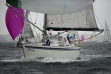 whw11 sun 3675